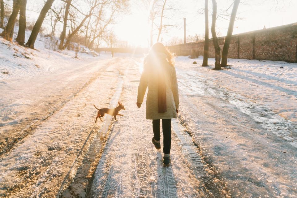 Women walking her dog on a winter road